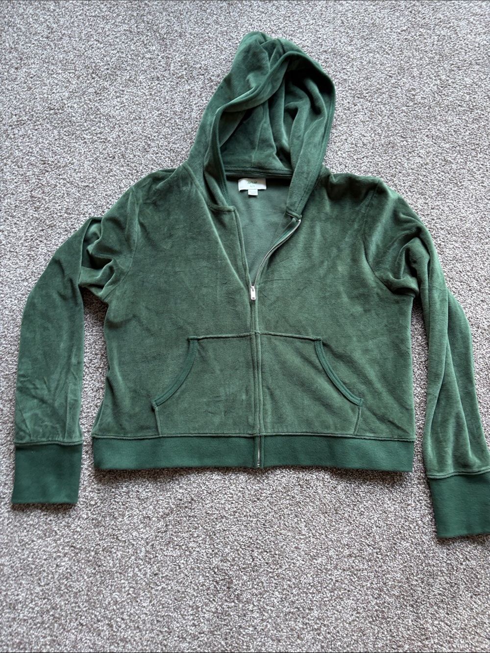 aerie Forest Green zip up sweatshirt